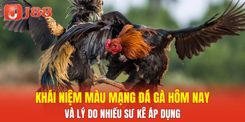Khái niệm màu mạng đá gà hôm nay và lý do nhiều sư kê áp dụng