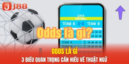Odds Là Gì